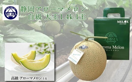【通年出荷】 高級 マスクメロン 白級 1玉  化粧箱入 