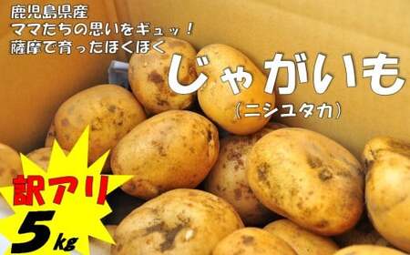 ZS-645 【訳アリでお得！】ママたちの思いをギュッ！薩摩で育ったほくほくじゃがいも5㎏（ニシユタカ） 期間限定