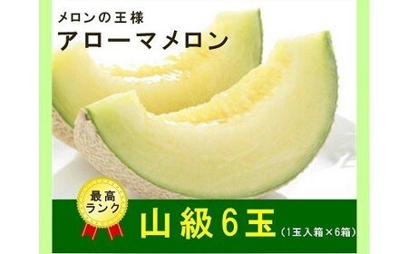 【通年出荷】最高級 アローマメロン 山級 6玉 