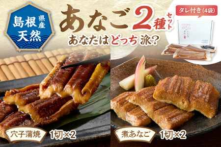あなご2種（蒲焼あなご・煮あなご）セット 魚介類 魚 穴子 蒲焼き 煮穴子 セット 食べ比べ 【156_2012】