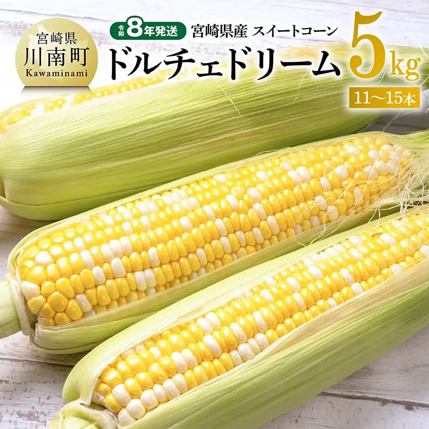 【令和8年発送】宮崎県産とうもろこし　スイートコーン「ドルチェドリーム」5kg 【 とうもろこし スイートコーン コーン とうきび 野菜 2026年発送 】