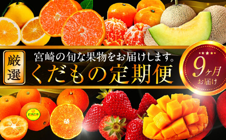 青果店厳選！「くだもの定期便Vol.2」(全9回) いちご きんかん 日向夏 マンゴー メロン みかん