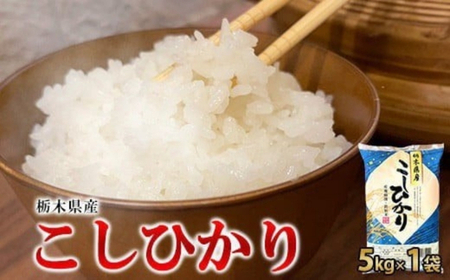 【令和7年産】栃木県産こしひかり（精米・5kg×1袋）　※離島への配送不可