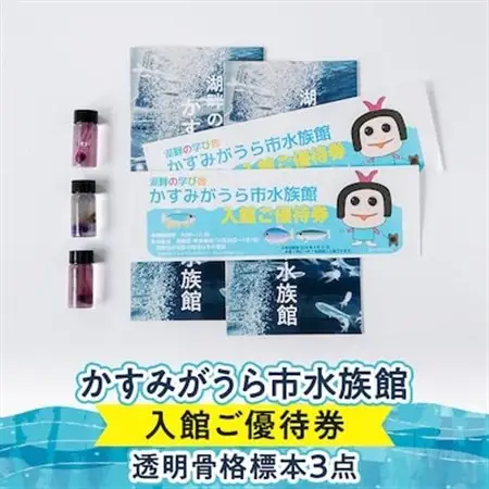 かすみがうら市水族館入館ご優待券および透明骨格標本3点_雑貨     旅行券・チケット 水族館 入場券・優待券 _【1407094】