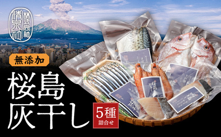 桜島灰干し 5種詰合せ K178-001 魚 冷凍