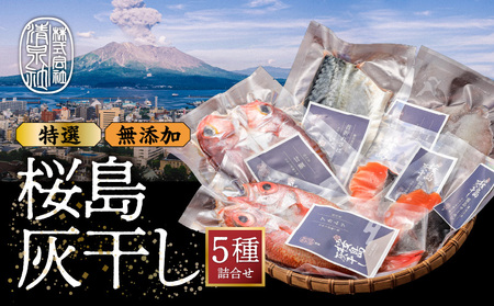 桜島灰干し 5種詰合せ【特選】 K178-002 魚 冷凍