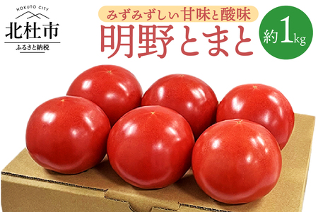 明野とまと約1kg０５ [h216]