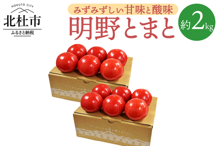 明野とまと約2kg０８ [h216]