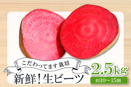 【季節限定品】あまくて真っ赤なビーツ2.5㎏【ビーツ 食べる輸血 奇跡の野菜  健康野菜 スーパーフード カエンサイ ボルシチ ポタージュ スムージー スイーツ ビタミン】
