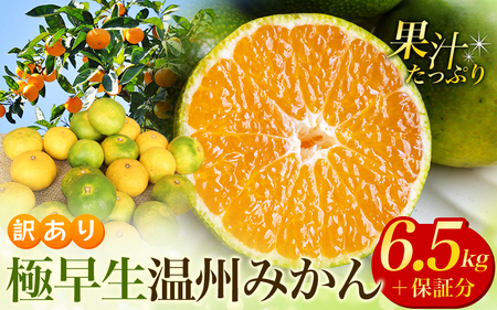  訳あり みかん 極早生温州みかん 約6.5kg サイズおまかせ 【njb690C】