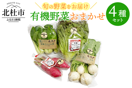 有機野菜おまかせ4種セット０６ 有機野菜 おまかせ 4種 セット 新鮮 九州屋ファーム 明野 山梨県 北杜市  [h216]