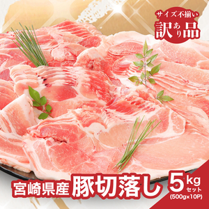 【訳あり】宮崎県産豚切り落とし5kg(500g×10パック)  K16_0055_3