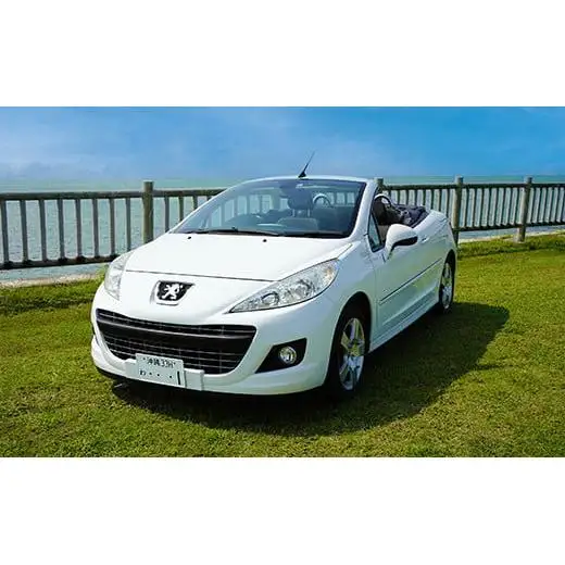 【オープンカーで満喫】レンタカー1日利用券 PEUGEOT 207CC《Supremeレンタカー》FG-1-1