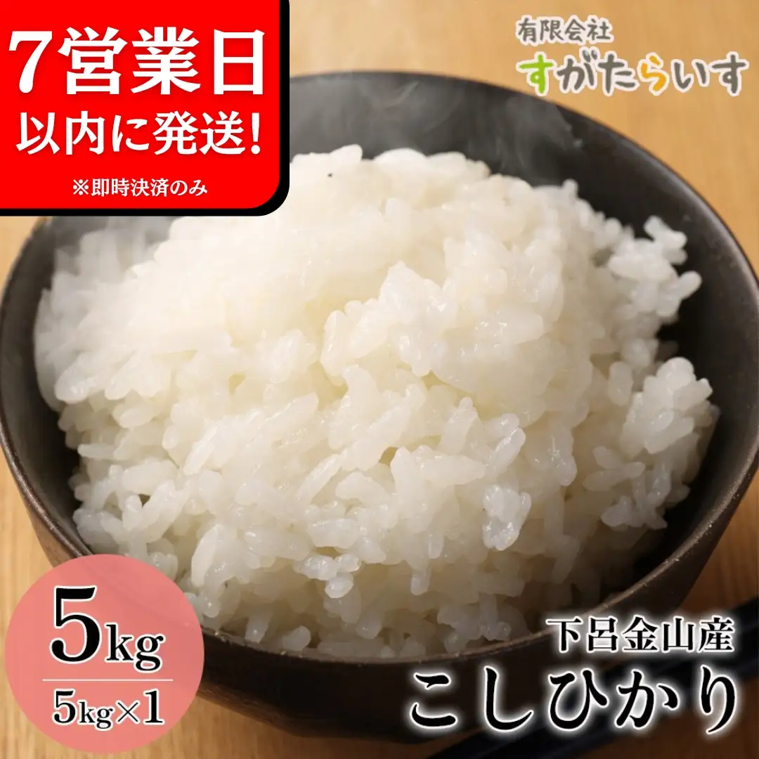 即納【令和7年産米】こしひかり 5kg 米【51-5】