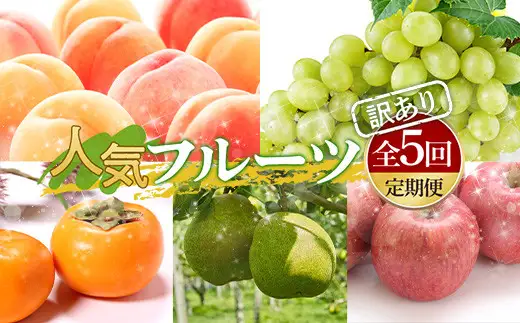 ≪2026年度発送 先行予約≫ 人気フルーツ訳あり定期便【年5回お届け】 フルーツ 果物 くだもの 果実 セット 詰め合わせ 詰合せ 食品 山形県 FSY-2506