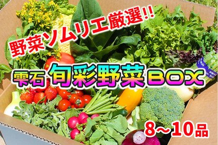 野菜ソムリエ “産直松の実の松原店長” 厳選 ！ 旬菜 朝採れ 野菜 BOX 8品 ～ 10品 ／ 人気 産直 採れたて 新鮮野菜 季節野菜 果物 くだもの やさい 国産 産地直送 仕送り 春 春野菜 夏 夏野菜 秋 秋野菜 冬 冬野菜 詰合わせ 詰め合わせ 詰め合せ 詰合せ セット おすすめ