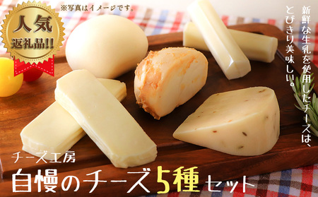 雫石チーズ工房 ふるさと納税 セット【5種】 チーズ 乳製品 ストリング ストリングチーズ さけるチーズ フレッシュチーズ スカモルツァ 焼けるチーズ 焼くチーズ 味噌漬け みそ漬け 熟成 熟成チーズ 手づくり 手作り おつまみ おやつ トッピング 人気 プレゼント ギフト プチギフト 贈り物 おすすめ