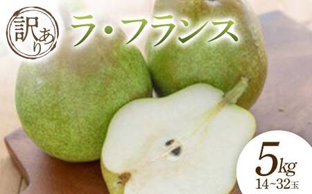 【2026年発送 先行予約】訳あり ラ・フランス 5kg 14～32玉 なし ナシ 梨 デザート フルーツ 果物 くだもの 果実 食品 山形県 FSY-0697
