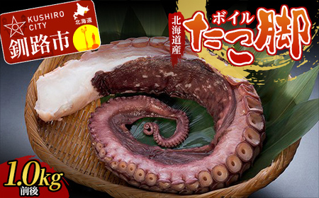 北海道産・ボイルたこ脚 (真だこ)　1kg前後 たこ 刺身 たこ焼き カルパッチョ 北海道 海鮮 海産物 冷凍 F4F-2245