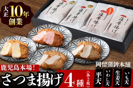 本場鹿児島のさつま揚げセット(全4種・計8枚) p9-021