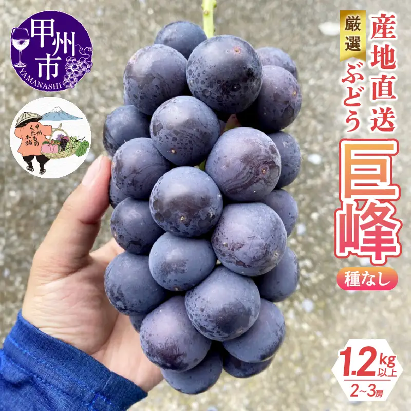 厳選！産地直送ぶどう「巨峰」（種なし）1.2kg以上（2～3房）【2026年発送】（KKH）B-492 巨峰 フルーツ