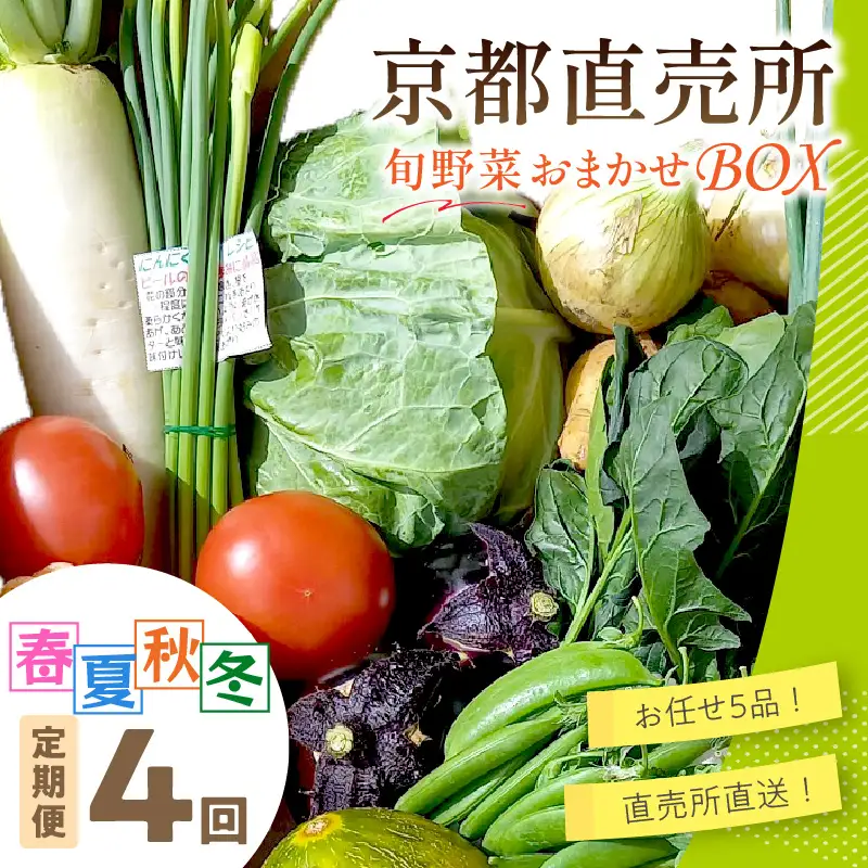 直売所直送 「京都・京丹後産 季節の野菜」お任せ詰め合わせBOX（5品） 春夏秋冬定期便4回 コシヒカリ精米 京野菜 季節 新鮮 ふるさと納税 野菜