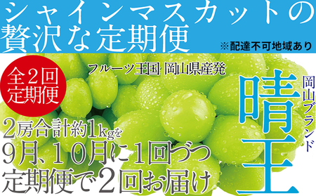 ぶどう 2026年 先行予約 【2回定期便】 シャインマスカット 晴王 2房（合計約1kg）