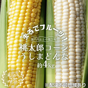 とうもろこし 桃太郎コーン うしまどんな 約4kg 8～12本入り 食べ比べ とうもろこし
