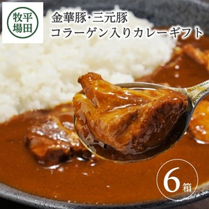SC0503　日本の米育ち金華豚・三元豚コラーゲン入りカレーギフト