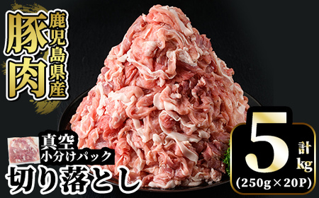 豚肉 切り落とし 小分け 250g×20P 計5kg【肉の豊楽】A5-033-D