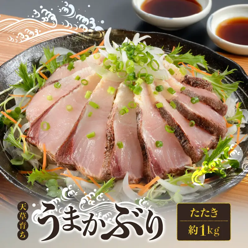 S137-006_【天草育ち】活じめ！うまかぶりたたき2節　約1kg（切るだけ、手間いらず）