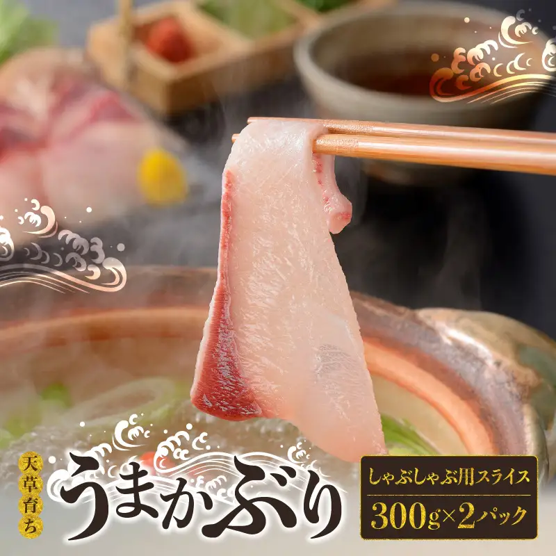 S137-007_【天草育ち/産地直送】活じめ！うまかぶりしゃぶしゃぶ用スライス　300g×２P