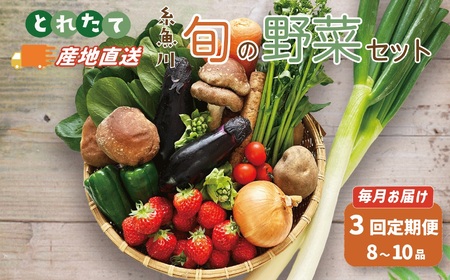 直売所からお届け！旬の野菜セット【3回お届け】（8～10品詰め合わせ）JA 新鮮な野菜直送便 糸魚川 新潟　【大根･白菜･春菊･アスパラ菜･しいたけ･ほうれん草･ふきのとう･タラの芽･山菜･にんじん･イチゴ･トマト･きゅうり･ピーマン･ジャガイモ･玉ねぎ･オクラ･枝豆･トウモロコシ･なす･生きくらげ･長ネギ･サツマイモ･里芋】