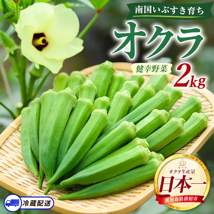 指宿(いぶすき)産オクラ 2kg オネファーム IB130-003