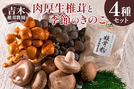吉木椎茸農園　肉厚生椎茸と季節のきのこセット_YO087_001