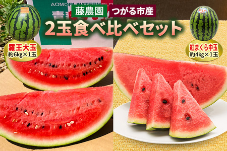 【先行予約】[羅王・紅まくら] スイカ 食べ比べ 2玉セット｜西瓜 [0620]