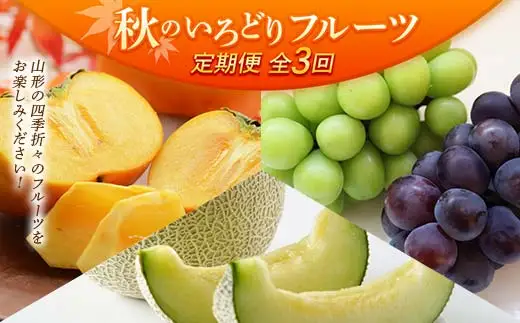 【先行予約 令和8年度発送】【定期便3回】 秋のいろどりフルーツ ぶどう ブドウ 葡萄 デザート フルーツ 果物 くだもの 果実 食品 山形県 FSY-2505