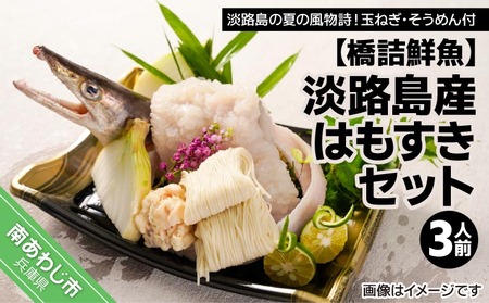 【橋詰鮮魚】淡路島産はもすきセット（３人前） ◆配送6月1日～9月10日