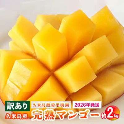 マンゴー 訳あり品【2026年発送】久米島熱帯果樹園 完熟マンゴー約2kg（3～6玉） アーウィン アップルマンゴー