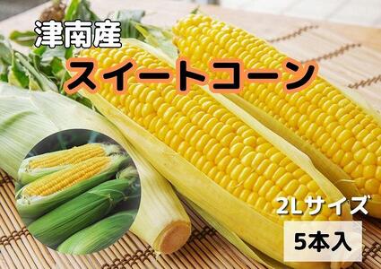 【令和8年産 先行予約】朝採りスイートコーン 2lサイズ 5本入（1本約400g） |津南町 スイートコーン