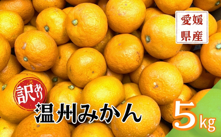 【2026年先行予約】訳あり 温州みかん 5kg ご家庭用 【2026年11月上旬以降発送】 人気 愛媛 みかん 柑橘 伊予市｜B149