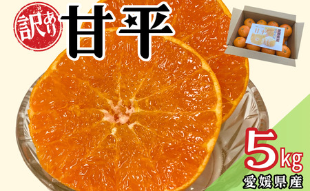 【2027年先行予約】訳あり 甘平 5kg ご家庭用 【2027年2月上旬以降発送】 人気 数量限定 みかん 愛媛 柑橘 伊予市｜B151
