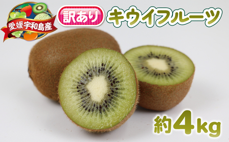 訳あり キウイ フルーツ 約4kg 杉本屋 【 訳あり キウイ 】F012-143002