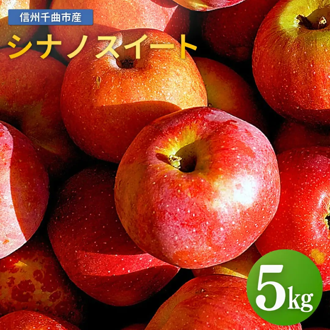 【2026年先行予約】りんご シナノスイート 12~20玉 約5kg|りんご