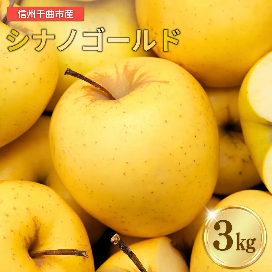 【2026年先行予約】りんご シナノゴールド 6~10玉 約3kg|シナノゴールドド