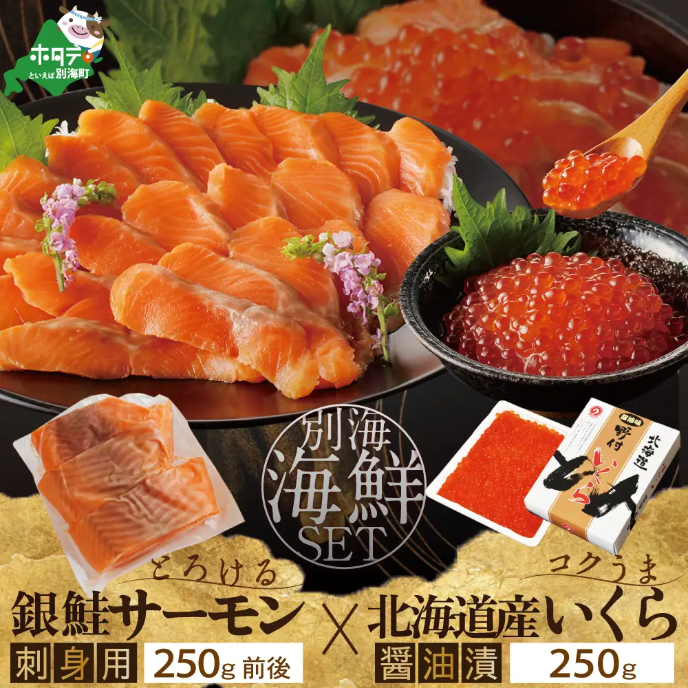 サーモン ･ いくら 海鮮福袋セット 各250g （ 海鮮福袋セット サーモン いくら イクラ 鮭卵 醤油漬け セット 北海道 人気 ふるさと納税 ）