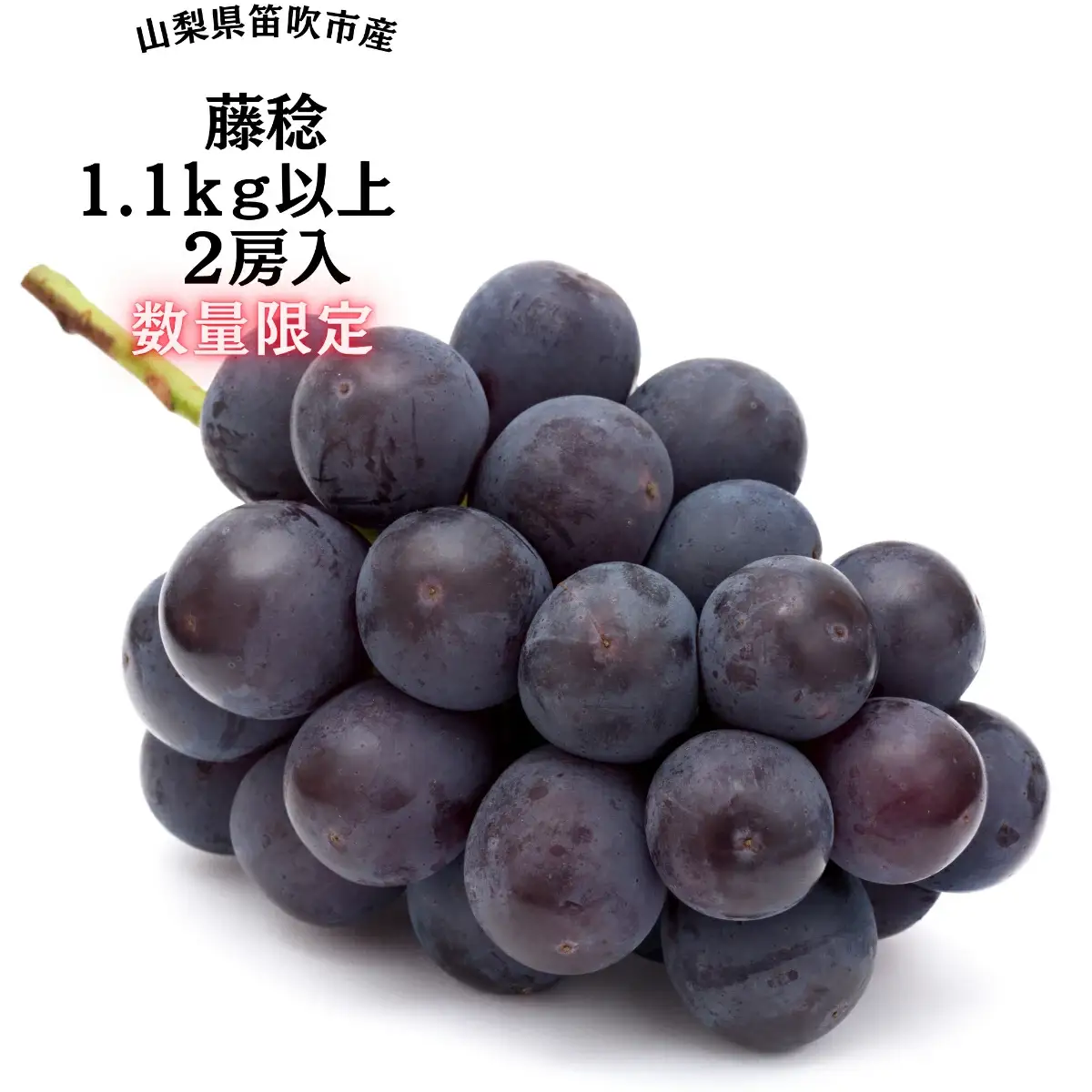 【2026年発送★先行予約】『数量限定』一大産地笛吹市御坂町の藤稔1.1ｋｇ2房入　167-005-26y