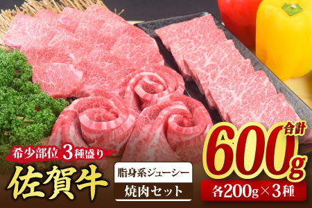 【スピード発送】佐賀牛 希少部位 焼肉3点盛り合せ 600g(200gx3種)【脂身系ジューシー】(H085142)