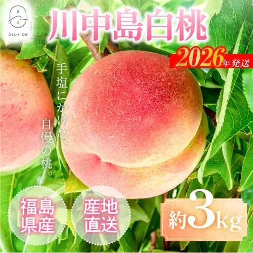 No.2670もも「川中島白桃」約3kg【2026年発送】