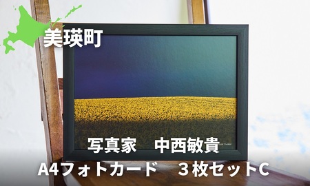 写真家　中西敏貴　A4フォトカード　３枚セットC[010-206]